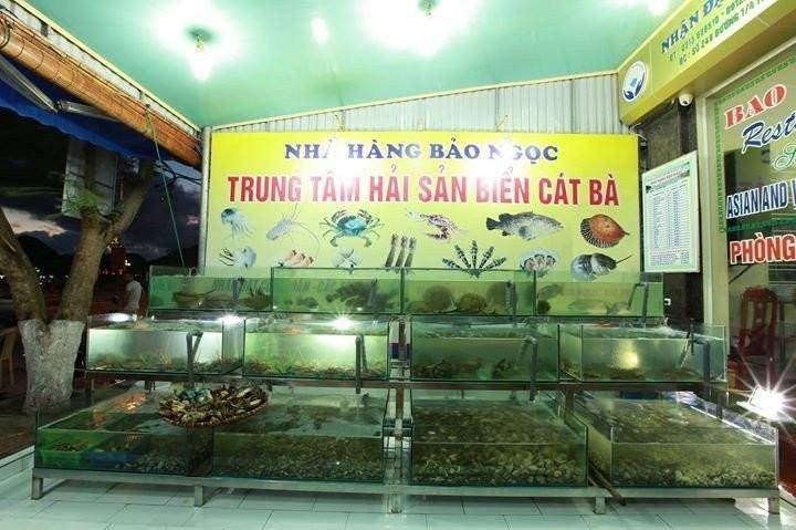 Bao Ngoc Hotel Dong Khe Sau Экстерьер фото